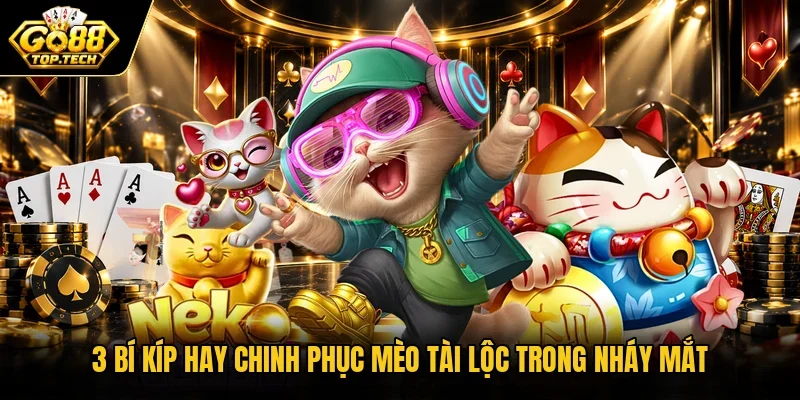 3 bí kíp hay chinh phục Mèo Tài Lộc trong nháy mắt