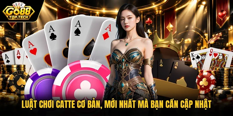 Luật chơi Catte cơ bản, mới nhất mà bạn cần cập nhật